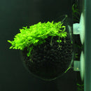 Aquarium Fish Tank Live Plants Cup Growing Pot Aquatic Landscape Holder S ZTU
