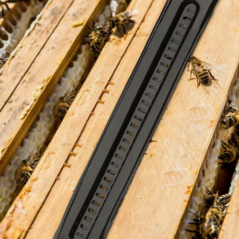 20Pcs Plastic Beetle Blaster of Beehive Beekeeping Tools Small Beetles Catc