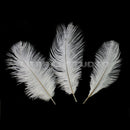 Wedding DIY Crafts Decorations 10pcs 6-8 inch White Ostrich Feathers 15 - 20cm
