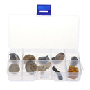 10Pcs Fossils Collection Kit w/ Display Box for Kids Early Biology Learning