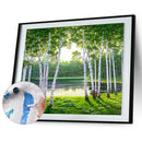 Painting By Numbers Kit DIY Woods Hand Painted Canvas Oil Art Picture Craft