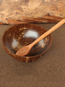 Eco-Friendly Organic Natural Coconut Shell Bowl Coconut Wood Tableware Spoon Set