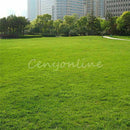 1000 stk/pack Rasensamen SunGrass Rasen Pro Grassamen I0O8 Saatg Rasen I8E9