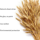Pure Hand-Woven Wheat Straw Fan Old Man Summer Natural Hand Fan Environment