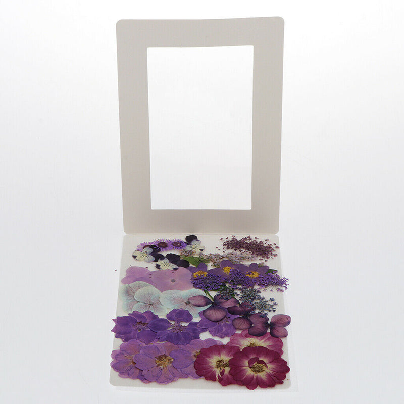 1 Set Natural Real Dried Flowers Card Making Album Frame Decor 2.5-3.5cm