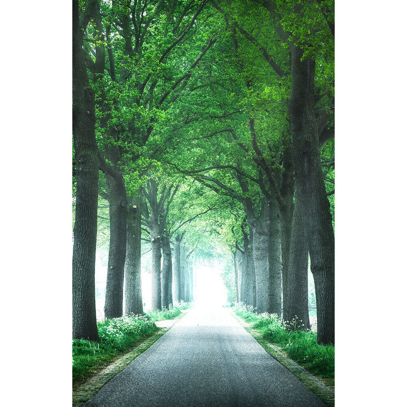 1000pcs Path Paper Puzzles Adults Kids Jigsaw Educational Game Toys Gift