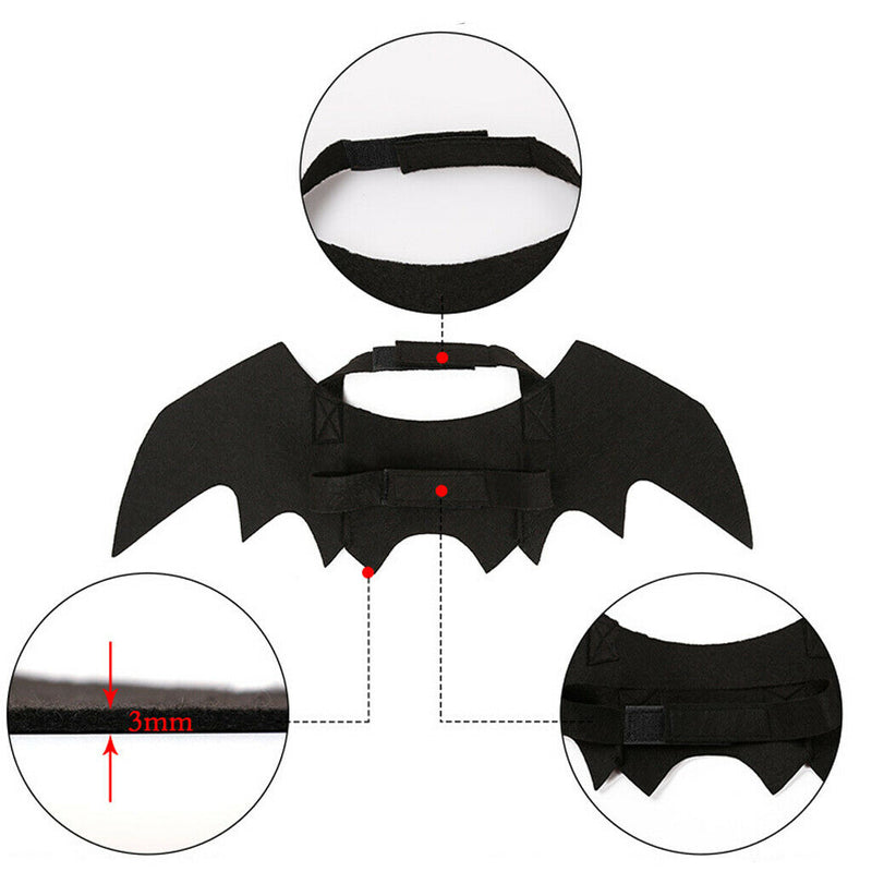 Pet Cats Bat Wings Kittens Black Bat Transfiguration Halloween Cat Costume