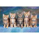 5D DIY Full Drill Diamond Painting Looking Cats Cross Stitch Embroidery Kit