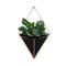 Wall Hanging Container Storage Rack Household Innovative Indoor Living Room