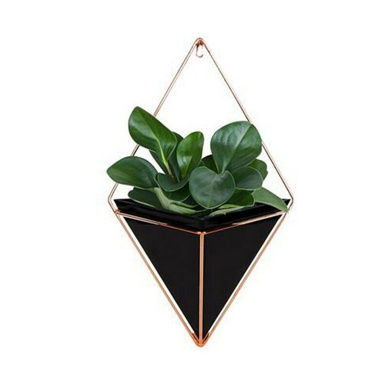 Wall Hanging Container Storage Rack Household Innovative Indoor Living Room