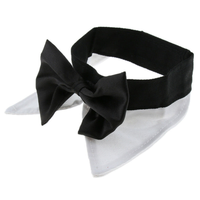 Adjustable Pet Dog Collar Special Designed Collars for Dogs Cats White L