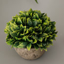 Plastic Artificial Potted Plants Green Grass -13cm / 5.12''(Height)-Green