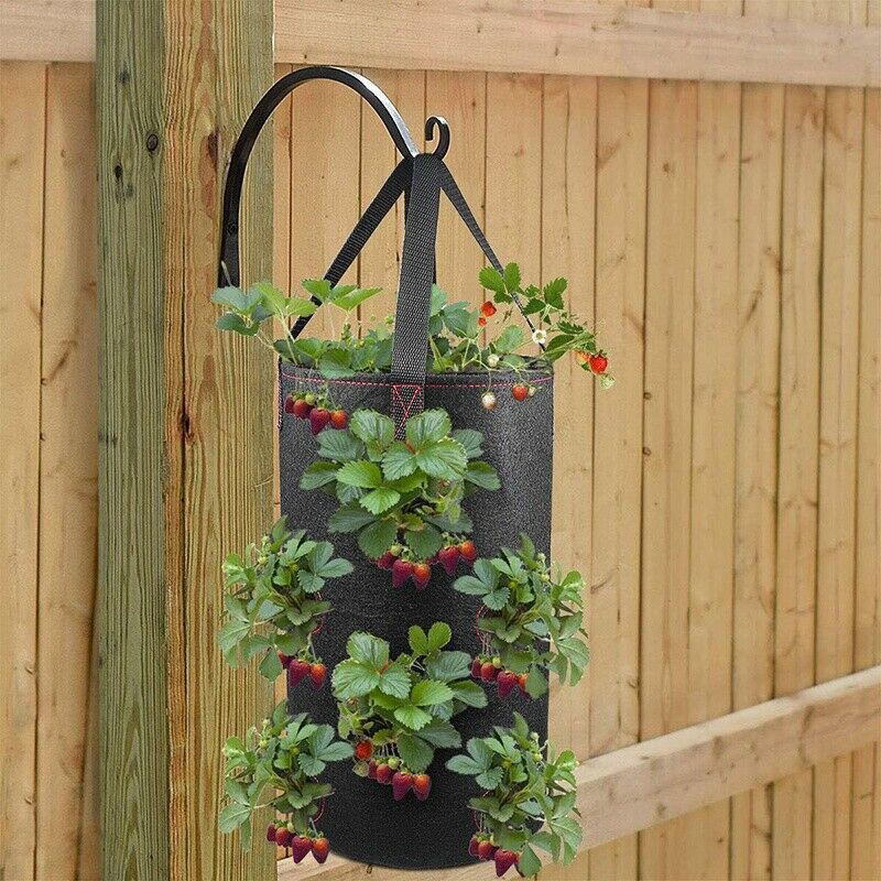 Hanging Strawberry Planter for Strawberry Bare Root Plants 2 Pack Hanging P
