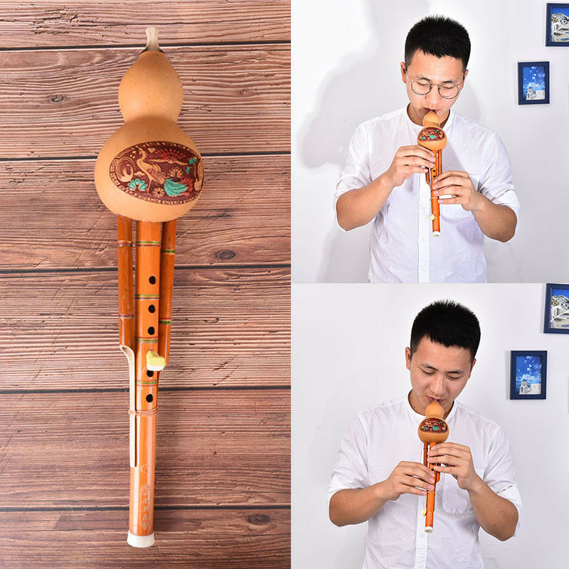 profeesional chinese hulusi gourd cucurbit flute c key ethnic instrument G.ES