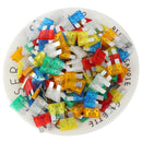 200 pcs car safety fuses 19mm 5 - 30A car fuse assortme%!