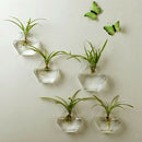 2 Pieces Wall Hanging Plant Terrarium Glass Planter for Home Decor, Hexagon