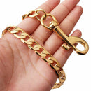 Durable Stainless Steel Dog Cat Dog Chain Leash for Dog Outdoor Training