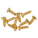 50pcs Guitar Pickguard Mounting Screws for Electric Guitar Bass 2.5mmx12mm