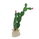 2lots Animated Succulent Plants Fish Tank