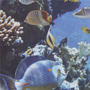 fish Ocean View windows wall door stickers for washing machine decor wall  OZ