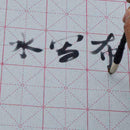 Magic Cloth Chinese Practice Calligraphy Brush Water Writing P2U4 New Paint O5A4
