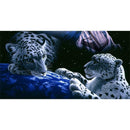 5D DIY Full Drill Diamond Painting Animal Cross Stitch Embroidery (Tiger05)