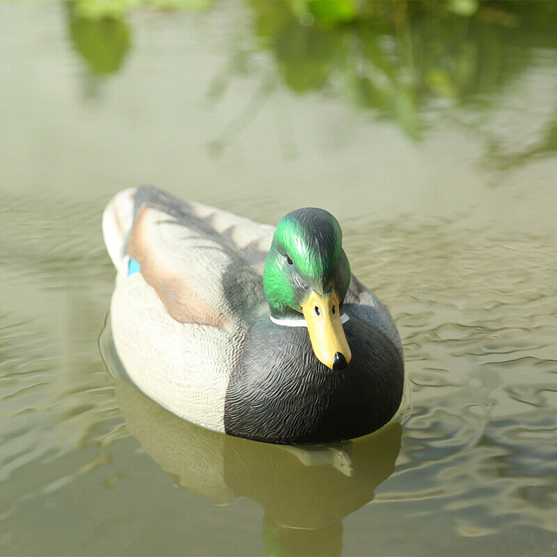 Plastic Lifelike Mallard Duck Decoy Floating Drake Duck Decoy For Hunting
