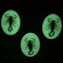 Glow In The Dark Tribal Leather Bolo Tie Western Cowboy Cowgirls Jewelry