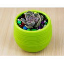 2x Succulent Pot Vase Herb Storage Box Cacti Plant Box Plant Container