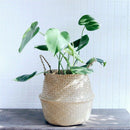 Basket Rattan Folding Wicker Handle Round Natural Sea Grass Plant Storage lj