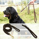 2M Long Leather Braided Pet Dog Walk Traction Collar Strap Training Leash L
