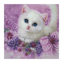 5D DIY Full Drill Diamond Painting Cat Cross Stitch Embroidery (30x30cm)