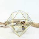 Geometric Metal Glass Succulent Plant Planter Vase Wedding Decor Terrarium