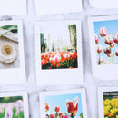 46Pcs Tulip Stationery Stickers Pack Posted Planner Scrapbooking Memo Stick BX