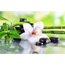 5D DIY Diamond Painting Flower Bamboo Cross Stitch Embroidery Mosaic Kit