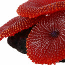 Artificial Aquarium Fish Tank Decoration Coral Sea Plant Ornament Silicone