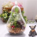 Hot Sell Home Decor Pear Crystal Vase Planter Terrarium Container Hydroponic Pot