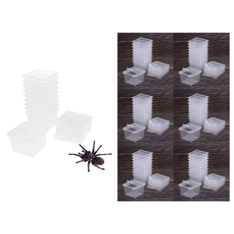 60pcs Clear Insect Reptile Spider Lizard Breeding Box Terrariums Container