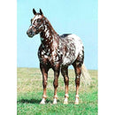 5D DIY Diamond Painting Full Square Drill Cross Stitch Wall Art (Animal10)