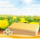 5Pcs Beekeeping Honeycomb Foundation Wax Frames Honey Hive Equipment To WCF