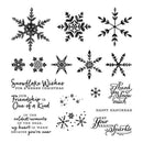 Carbon Steel Snowflake Series Transparent Seal Stamp Stencils (ST0351A1) A