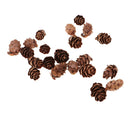 50 Pieces Natural Decorative Pine Cones Pinecone Dried Flowers for Christmas