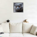 5D DIY Full Drill Diamond Painting Big Grey Cat Cross Stitch Embroidery Kit