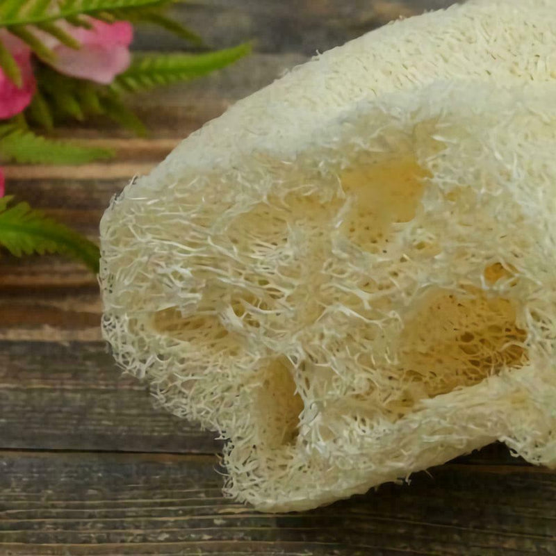 Natural Exfoliating Loofah luffa loofa Bath Brush On Stick a AU E7D5