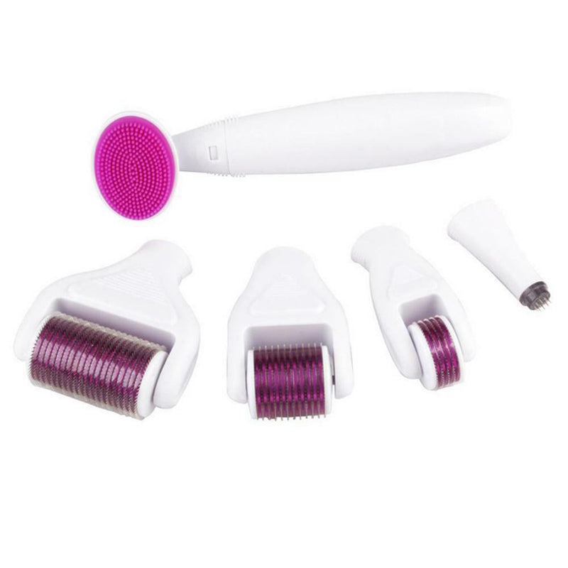 6 in 1 Derma Roller Titanium Needle Skin Care Kit Micro Needle for Face and Body