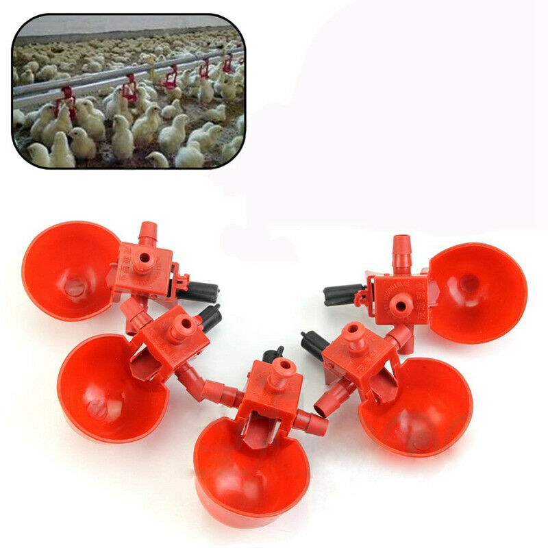 5 Pieces Bird Coop Bird Chicken Feed Automatic Poultry Drinking Water Cup X6T4