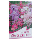 Purple Gladiolus Bulbs Beautiful Gladiolus Flower Garden Courtyard fruit pla OZ