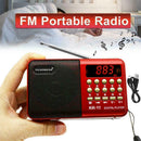 Mini Portable FM Radio LCD Digital MP3 Player Speaker USB AUX Rechargeable Z3Y9