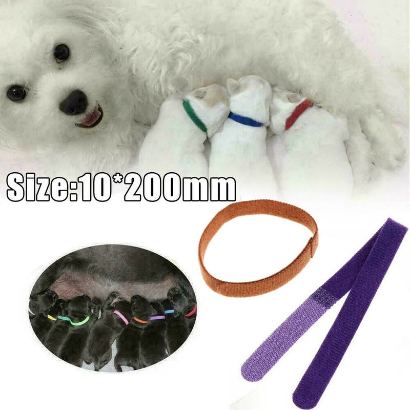 12* Whelping Puppy Reusable Band Kitten Adjustable Nylon ID Collars Pet Dog Cat