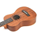21 Inch Ukulele Sapele Soprano Beginner Ukulele Guitar Dolphin Pattern Ukul